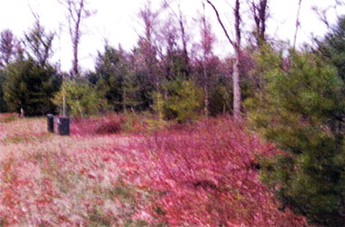 Arkdale WI Lot 109 Timber Shores