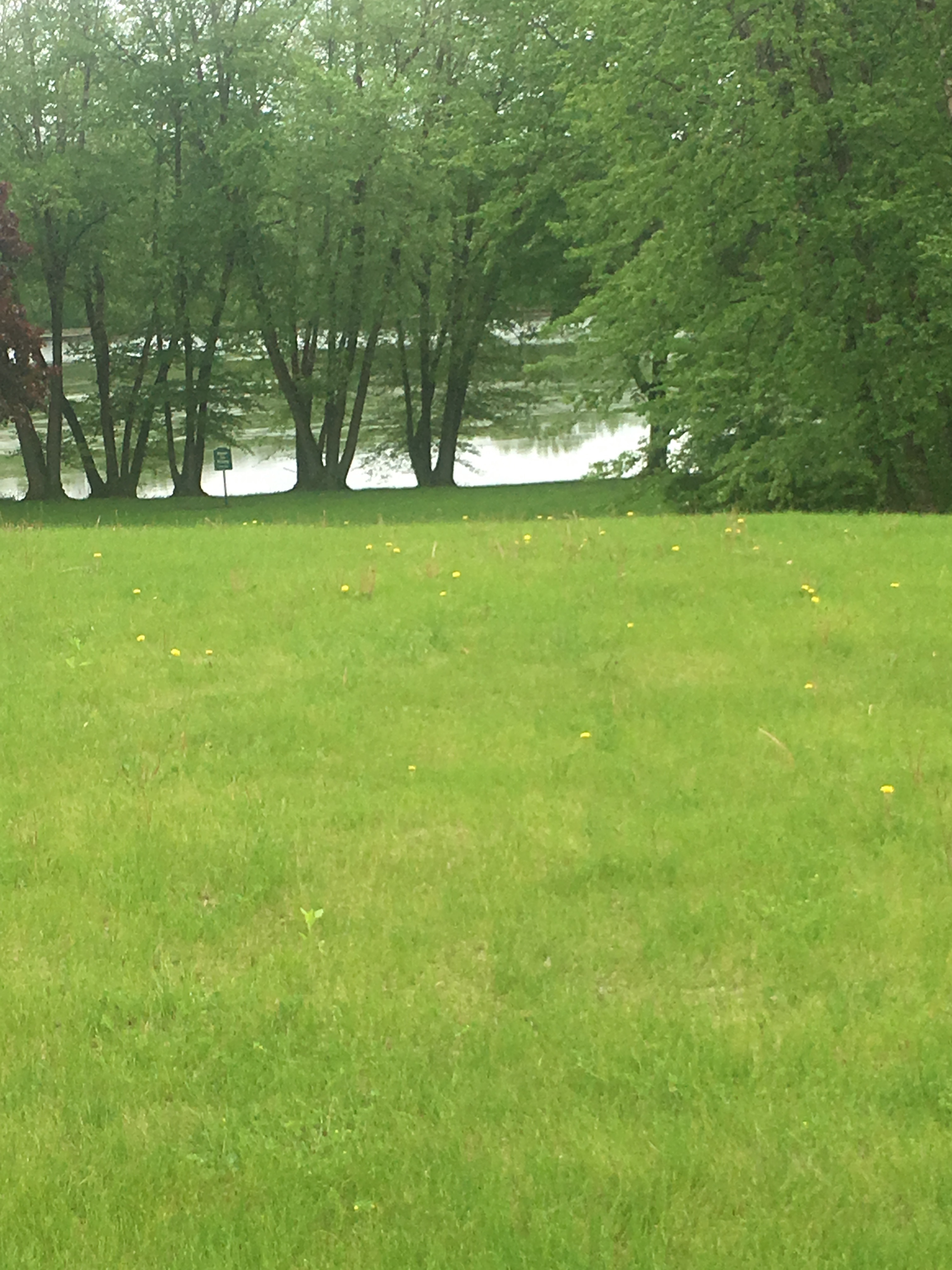 Lot 7 Oak Shadows Lane, St Charles, IL, Pic 3