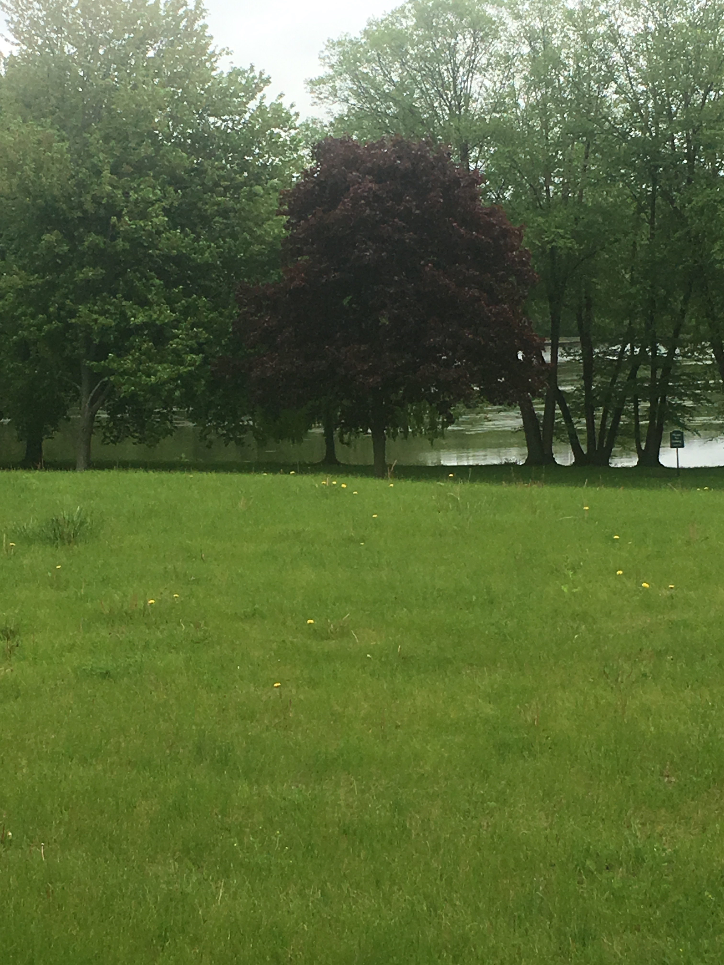 Lot 7 Oak Shadows Lane, St Charles, IL, Pic 4