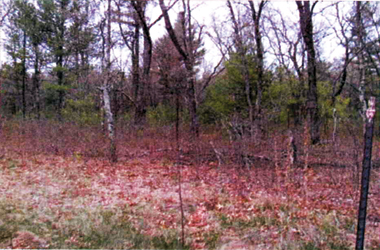 Adams WI Lot 110 Timber Shore