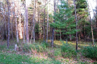 Arkdale WI Lot 3 Ash Ave