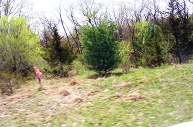 Oxford WI Lot 15 South Fern Lane