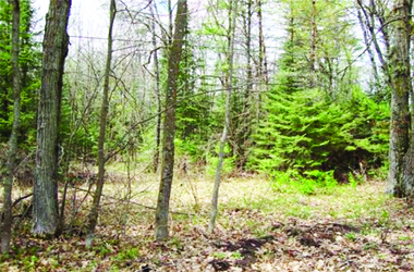 Shawano WI Balsam Row