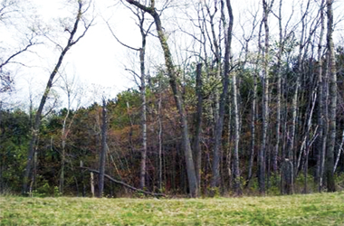 Somerset WI 932 218th Ave